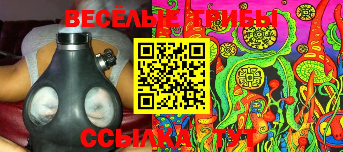 Псилоцибиновые грибы Psilocybine cubensis Углич